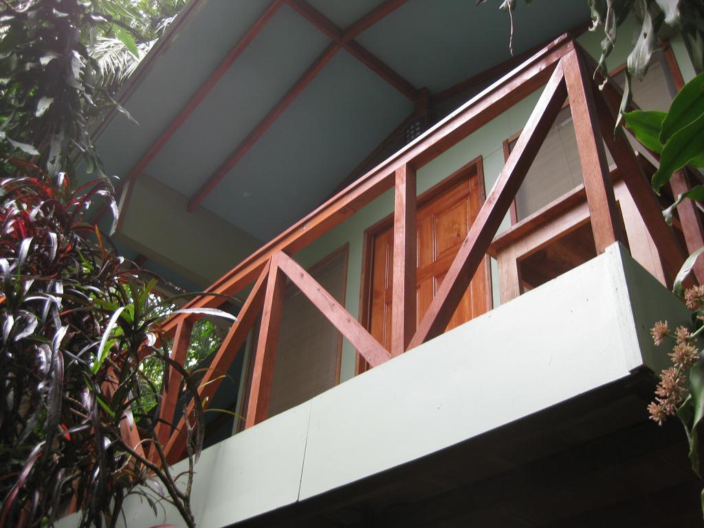 Luz En El Cielo Eco-B&B/Hostel Montezuma Rom bilde